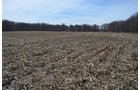 Property photo 160 - REAL ESTATE & PERSONAL PROPERTY AUCTION, 140 Acres offered in 8 Tracts or Combinations in Steuben County
